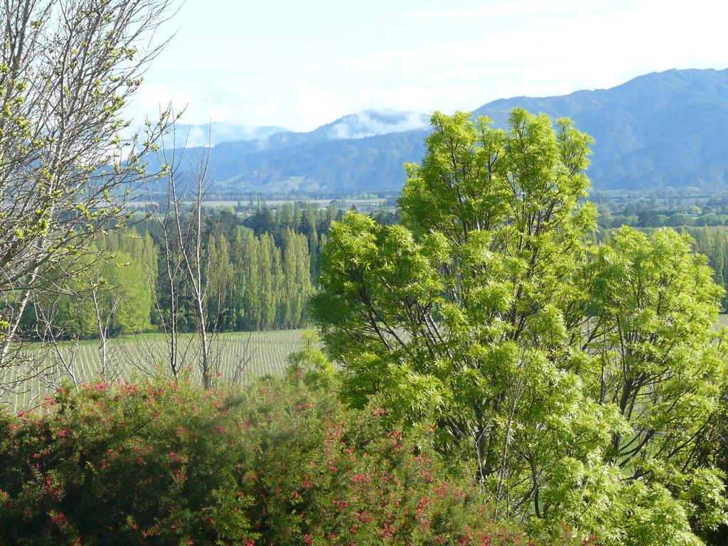 Omaka Heights Countrystay Renwick Exterior foto