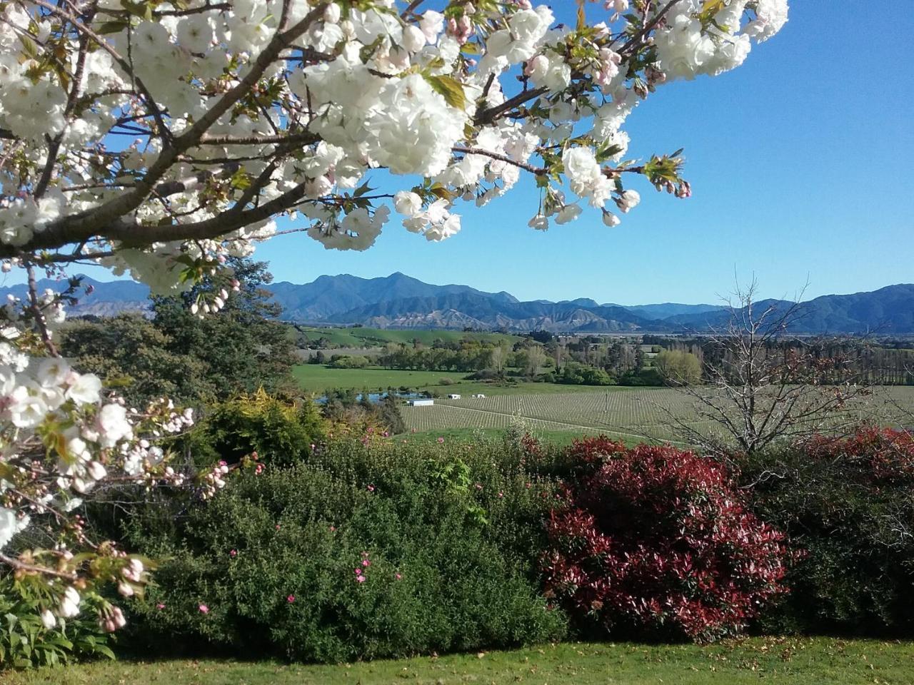 Omaka Heights Countrystay Renwick Exterior foto